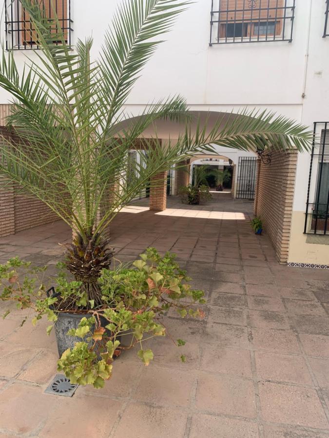 Apartamento A Estrenar A Un Minuto Del Alcazar Apartment Cordoba Ngoại thất bức ảnh